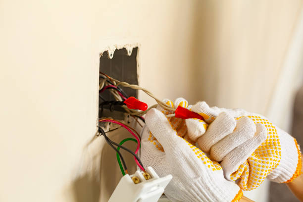 Best Electrical Panel Upgrades  in Adamstown, PA